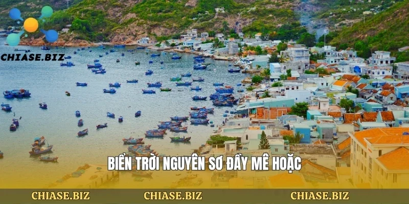 Biển trời nguyên sơ đầy mê hoặc