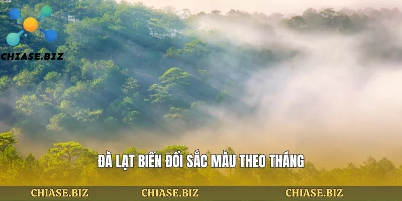 Đà lạt biến đổi sắc màu theo tháng