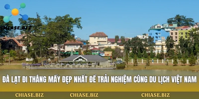Đà Lạt Đi Tháng Mấy Đẹp Nhất Để Trải Nghiệm Cùng Du Lịch Việt Nam