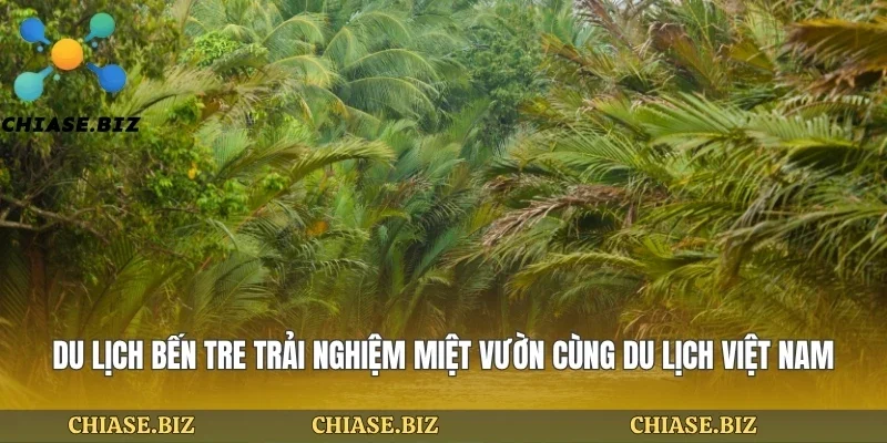 Du Lịch Bến Tre Trải Nghiệm Miệt Vườn Cùng Du Lịch Việt Nam