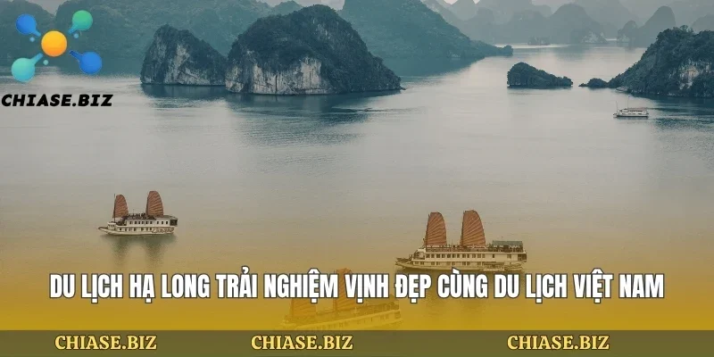 Du Lịch Hạ Long Trải Nghiệm Vịnh Đẹp Cùng Du Lịch Việt Nam