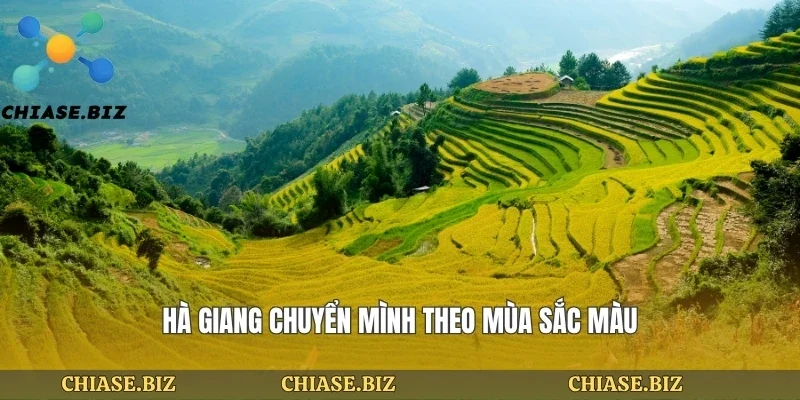 Hà giang chuyển mình theo mùa sắc màu