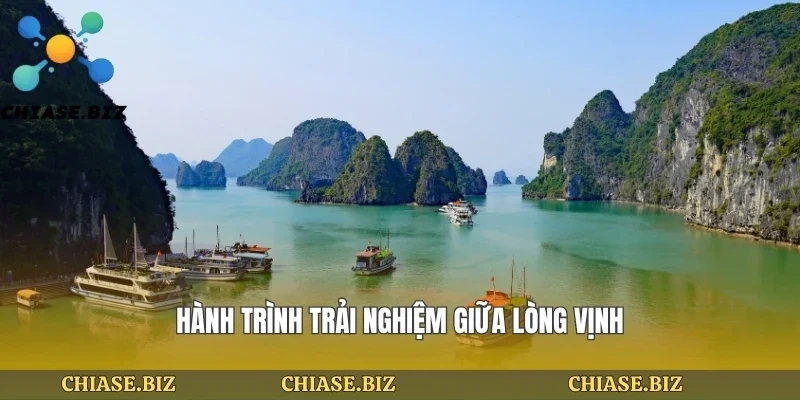 Hành trình trải nghiệm giữa lòng vịnh