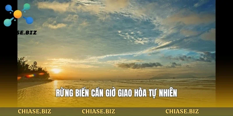Rừng biển cần giờ giao hòa tự nhiên