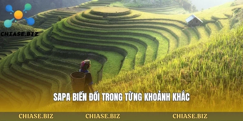 Sapa biến đổi trong từng khoảnh khắc