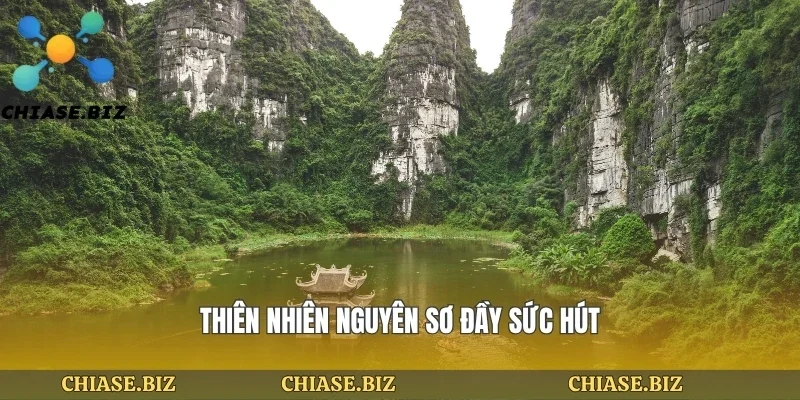 Thiên nhiên nguyên sơ đầy sức hút