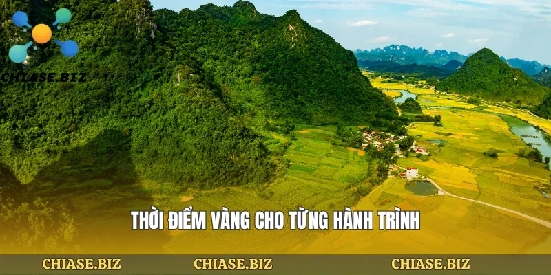 Thời điểm vàng cho từng hành trình