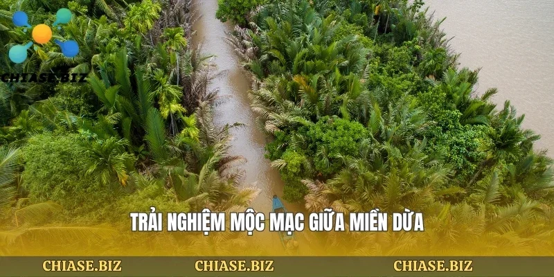 Trải nghiệm mộc mạc giữa miền dừa