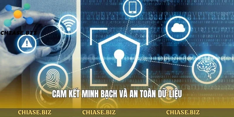 Cam kết minh bạch và an toàn dữ liệu